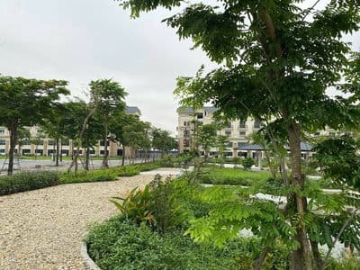 Bán Liền Kề Kim Đô City 100m2, 4.5 Tỷ, Vườn Công Viên