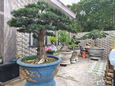 Nhà cấp 4 mới + kho 182m2 Lê Hồng Phong, Thủ Dầu Một, Bình Dương