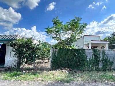 Chính chủ bán 241,5m2 thổ nờ hậu thích hợp xây trọ, làm xưởng,giữ tiền