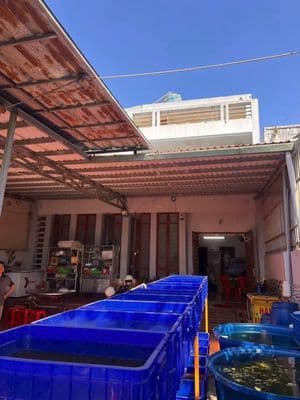 Bán nhà 176m2 thổ cư full, Bình Chuẩn, Thuận An, Bình Dương