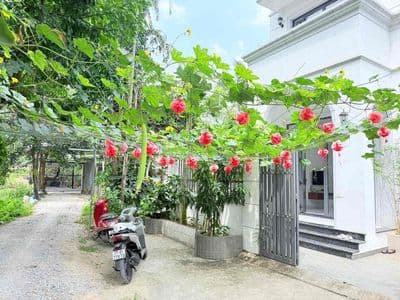 B.Á.N G.ẤP BIỆT THỰ MINI 3 TẦNG-DT 212M2-BÌNH NHÂM-THUẬN AN-CHỈ 7 T.Ỷ