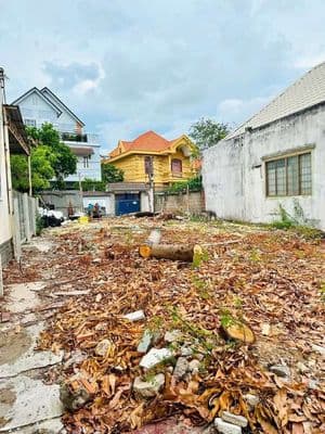 Bán đất biệt thự gần biển bãi sau