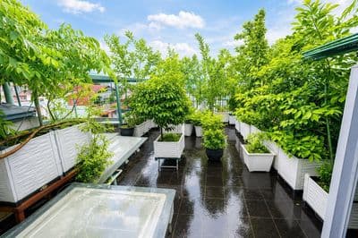 Kim Mã cách phố 70m - 5 tầng 1 tum - mặt tiền 4.3m - 50m² - 13.2tỷ