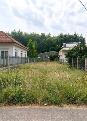 Bán gấp lô đất 186m2 - 1 tỷ250 đường Nguyễn Văn Khạ Tân An Hội Củ Chi