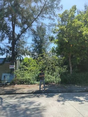 Cần bán đất full thổ cư mặt tiền dọc tuyến đường bãi biển Tình Yêu