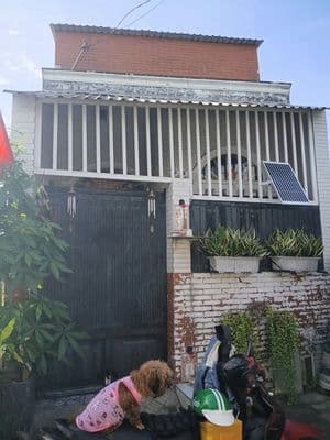 Cần bán nhà gấp ở Hóc Môn