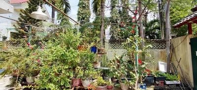 Bán nhà trệt lầu mặt tiền Bình Nhâm 02, Lái Thiêu, Bình Dương