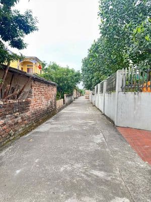 Bán đất Đan Nhiễm, Văn Giang, gần PVF, Ecopark, giá 4 tỷ