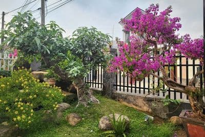 Bán biệt thự sân vườn trung tâm Phường 2 - Bảo Lộc