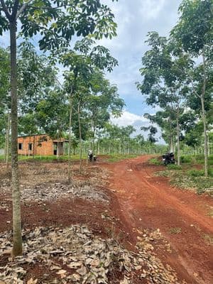 Bán đất 1.8ha Đồng Tiến, mặt tiền 65m, giáp suối