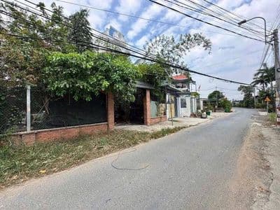 Nhà vườn mini mặt tiền Long Phú, Cần Giuộc, 4.1 tỷ