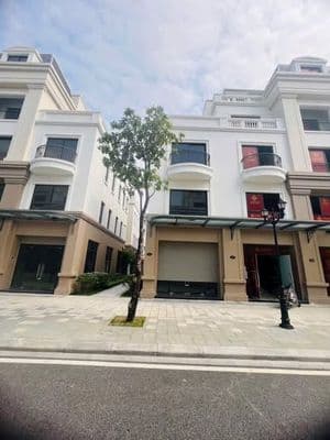 Bán căn xẻ khe Vinhomes Golden Avenue Móng Cái