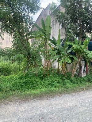 Bán đất nền 5 x 17-85m2 KDC GreenLife 13C sổ hồng CN xã Bình Hưng M