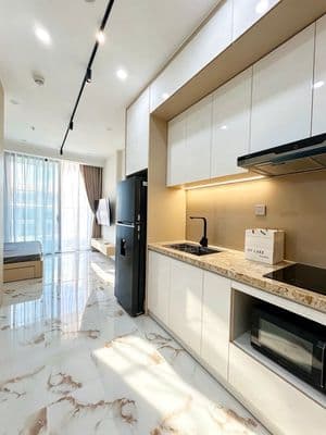 Cho thuê căn hộ sunponte - view cầu rồng - căn studio - 15tr