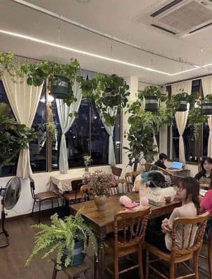 CHO THUÊ MB SÂN THƯỢNG VIEW THOÁNG NGAY KHU TÂN ĐỊNH