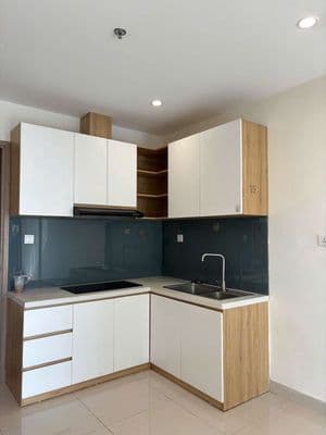 Cho thuê căn hộ 1PN+ Bếp rèm, 2 máy lạnh