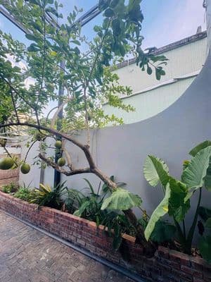 GẦN ĐẠI HỌC DUY TÂN, VILLA ĐẸP LUNG LINH HOÀNG VĂN THÁI CHỈ 4.9 TỶ.