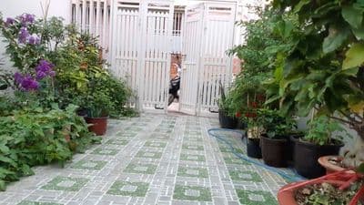 bán nhà hẻm 23/66/…nguyễn Hữu Tiến