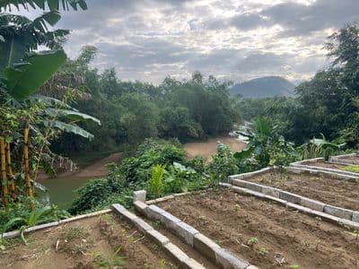 Đất đồi Veiw sông không bao giờ ngập, ô tô vào tận nơi