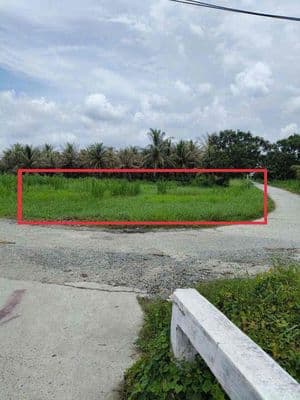 Đất nhà cần bán 1 nền 5 x36.5m thổ cư 100℅ tại Ấp 4, Châu Bình,Giồng T