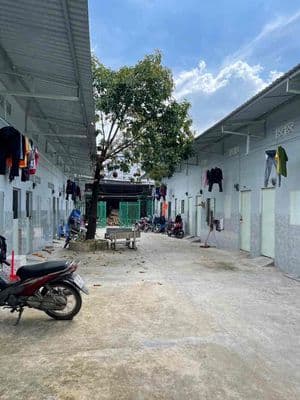 bán căn trọ lái thiêu. ký vi bằng