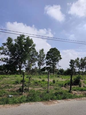 tôi bán gấp đất 120m2, giá 600 triệu ở đường Chùa Đá phường Trảng Bàng