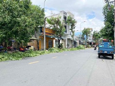 Gần trường chinh, nguyễn phúc chu, chợ tân trụ, dt 4,6 10m,hơn 4 tỷ