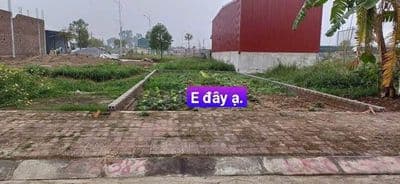 Bán đất LK3-21 Dt 90m² Trung tâm Chí Minh Khoái Châu