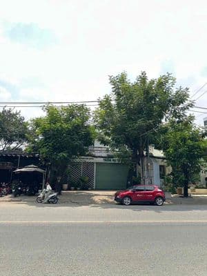 Cho Thuê Mặt Tiền Đặng Thùy Trâm, Bình Thạnh, 200m², Ngang 10m