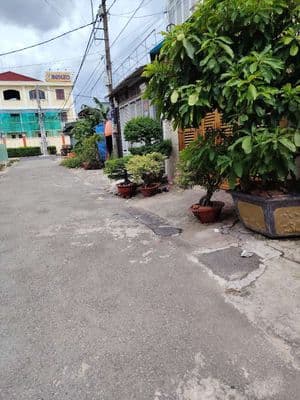 trả ngân hàng cần thanh khoản lô đất thới tam thôn 6.khu sơn benzo