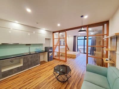 Cho thuê 1n1k 45m2 full đồ cơ bản, ban công thoáng, Trần Duy Hưng, CG