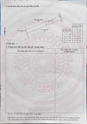 Bắn Đất Thổ Cư Cây Thông Trong đặc khu Phú Quốc