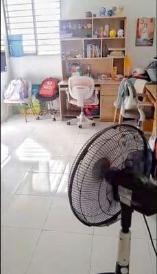 Cho thuê căn hộ LÊ THÀNH 1pn 37.4m