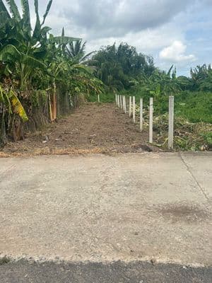 Chính chủ đất 5x30m Nhị Thành Thủ Thừa Long An