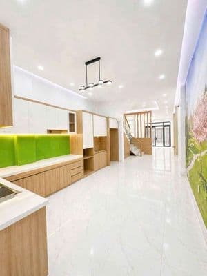 NHÀ ĐẸP TÊN LỬA CƯ XÁ C 4x19m 3 Tầng Vào ở ngay