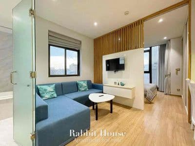 Cho thuê căn hộ 1pn - Đường Nguyễn Thị Thập