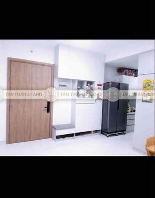 Cho thuê căn hộ diamond alnata plus – tân phú đã bao phí ô tô
