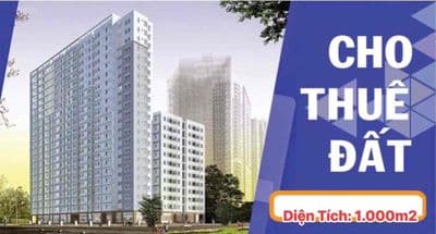 Cho Thuê Đất Gần 1.000m2 - Mặt Tiền Kinh Doanh - Biên Hoà - 45 triệu