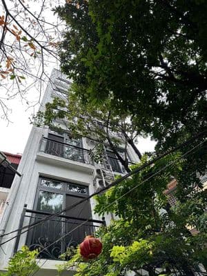 cho thue phòng cc mini ở lê thanh nghị gần đại hoc bách khoa giá 5xxx