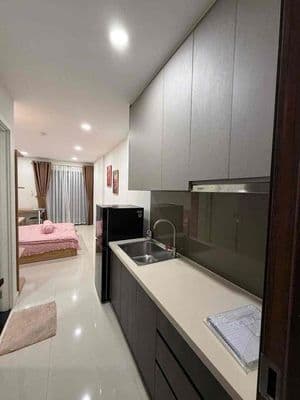 Cho thuê studio chung cư Lavida Plus Q7, 30m2 - full NT