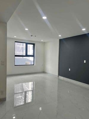 Căn 1pn trống chung cư phú mỹ cần cho thuê