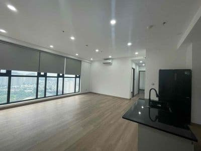 Cho thuê Penthouse Park View 152 Điện Biên Phủ 4pn giá 25 triệu 130m2