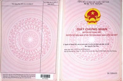 CHÍNH CHỦ BÁN ĐẤT NGỘP PHƯỚC TÂN-ĐN, GẦN QL 51