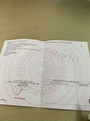 Bán Nền TL786