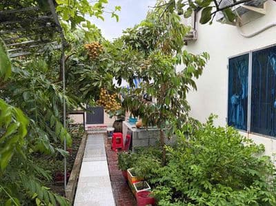 Bán đất tặng nhà vườn 331m2 Cach Lạc Hồng Chỉ Vài Trăm m