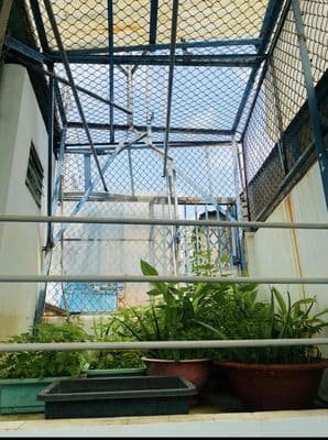 nhà cho thuê nguyên căn