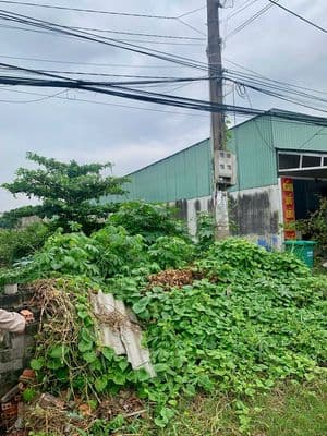 Bán Đất 129.5 m2 thổ cư tại Thị trấn Bến Lức Huyện Bến Lức Long An