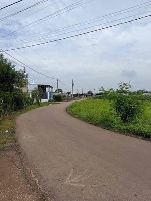 480tr/ lô nhựa Cẩm Mỹ ĐN