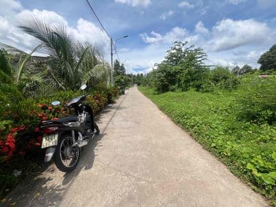 Đất đạo thạnh cực ngon