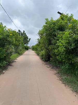 Đất thổ cư shr gần kcn Thành Thành Công